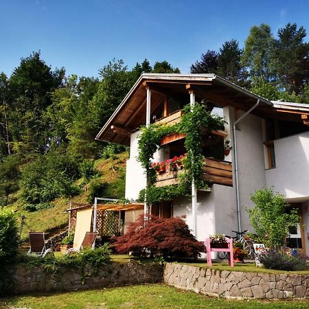 Bed and Breakfast Minavill La Casa Sulle Dolomiti Fiera Di Primiero Zewnętrze zdjęcie