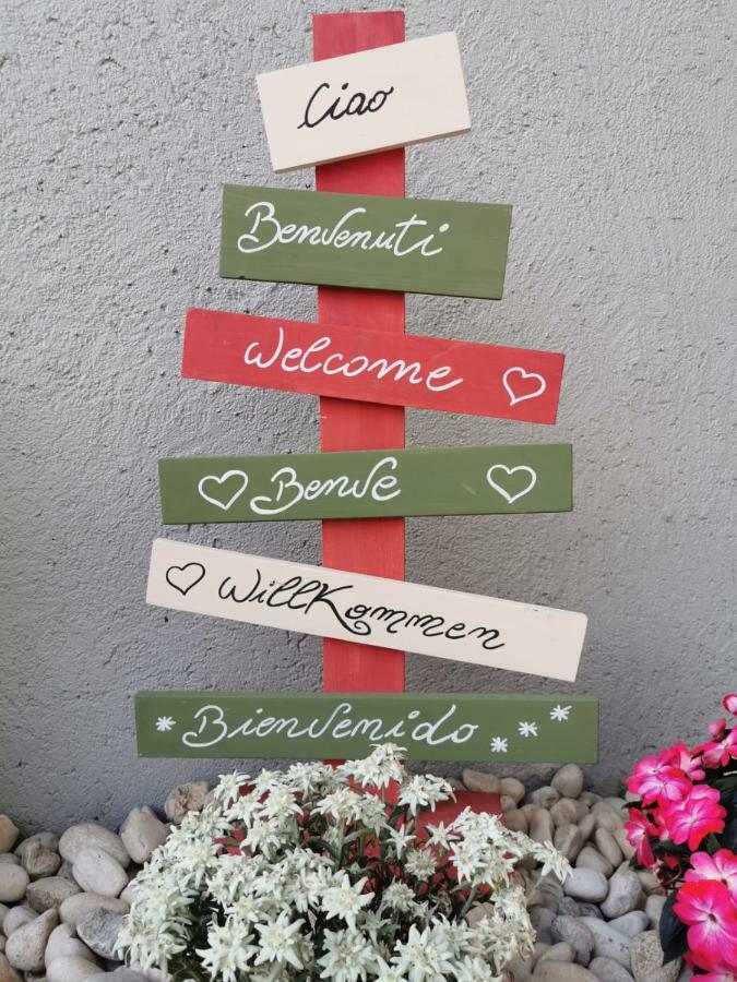 Bed and Breakfast Minavill La Casa Sulle Dolomiti Fiera Di Primiero Zewnętrze zdjęcie