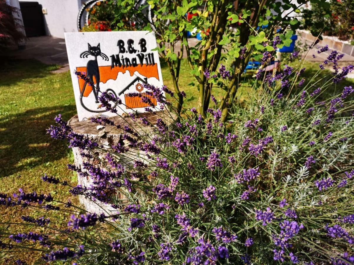 Bed and Breakfast Minavill La Casa Sulle Dolomiti Fiera Di Primiero Zewnętrze zdjęcie