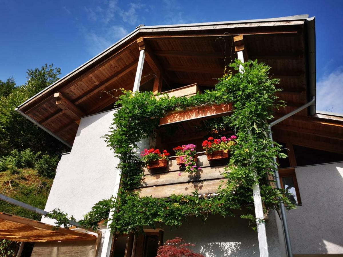 Bed and Breakfast Minavill La Casa Sulle Dolomiti Fiera Di Primiero Zewnętrze zdjęcie
